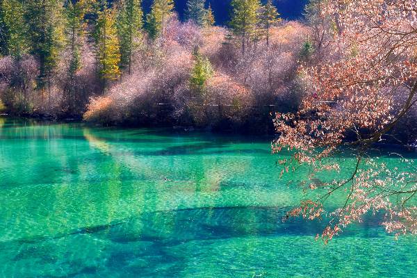Beautiful Sichuan.jpg
