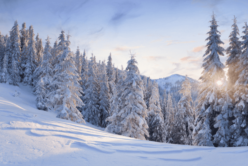 Hot destionations recommended to go in winter