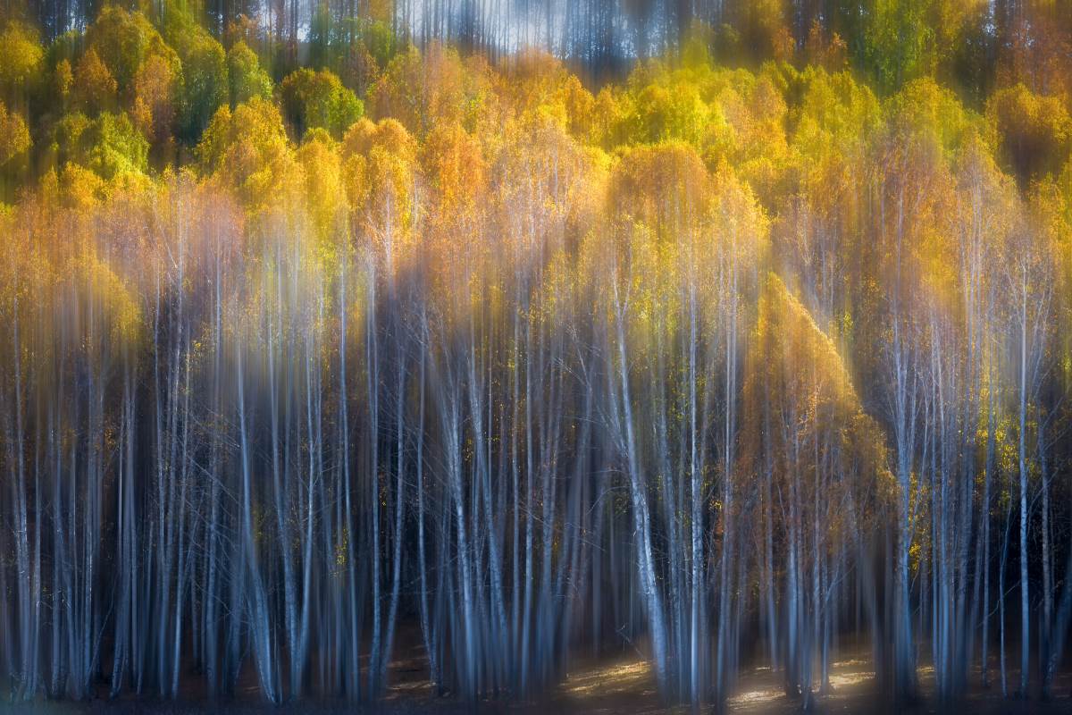 North Xinjiang: Fairyland Kanas Lake 10D Tour