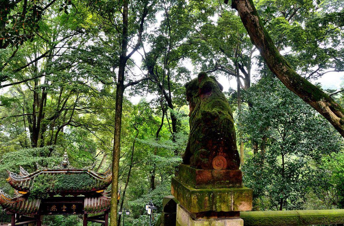 Mount Emei.jpg
