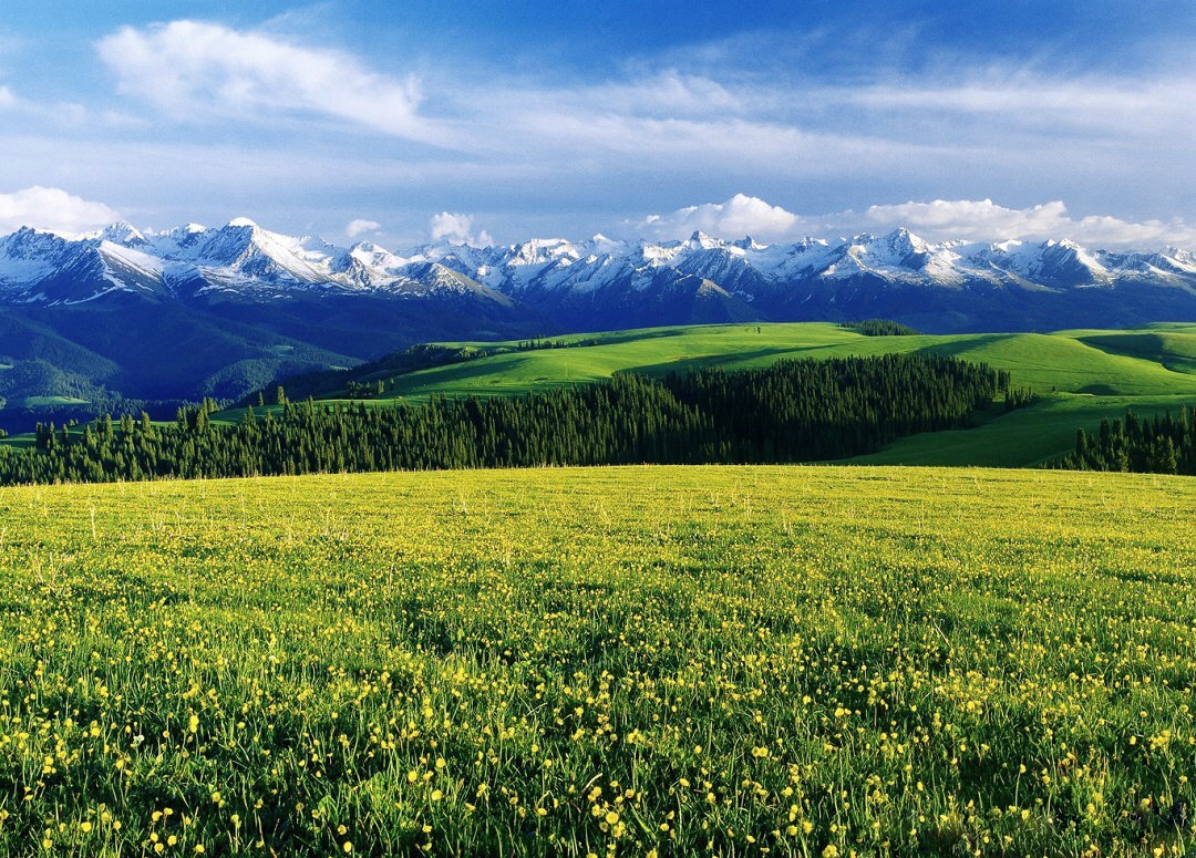 Kalajun grassland.png