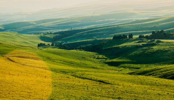 Kalajun grassland.jpg