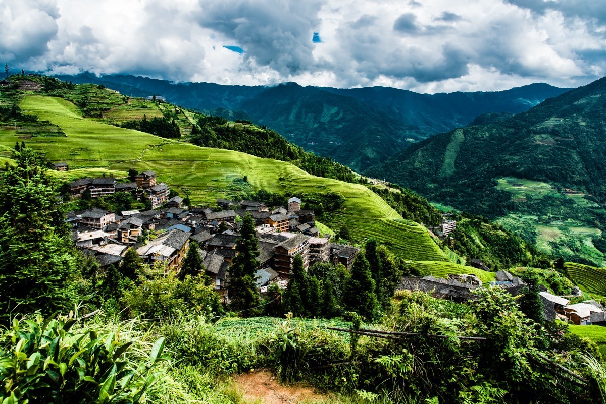 Longji Rice Terrace.jpg