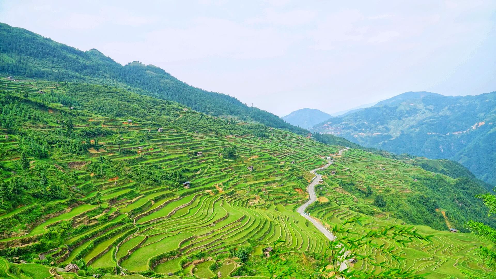 Jiabang Terrace.jpg