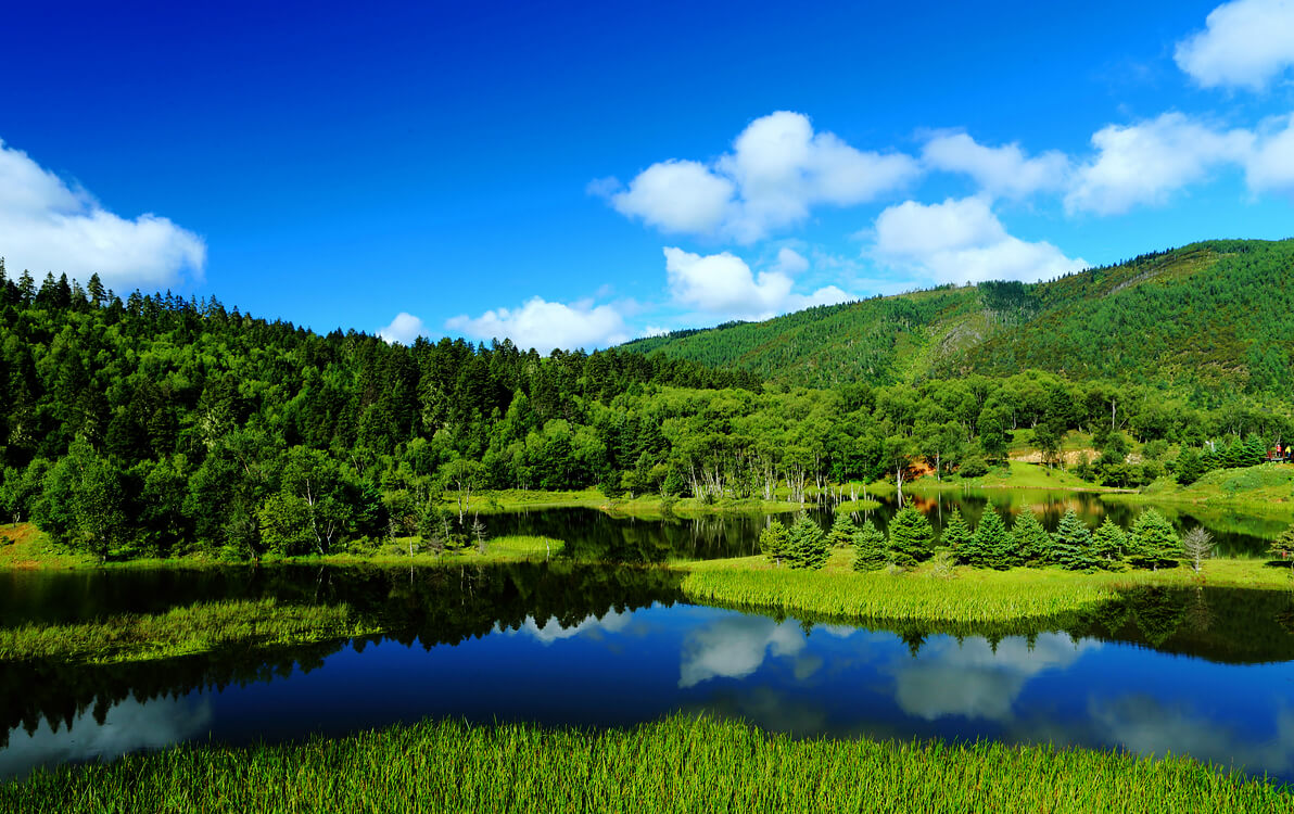 Pudacuo national park 1 (1).jpg