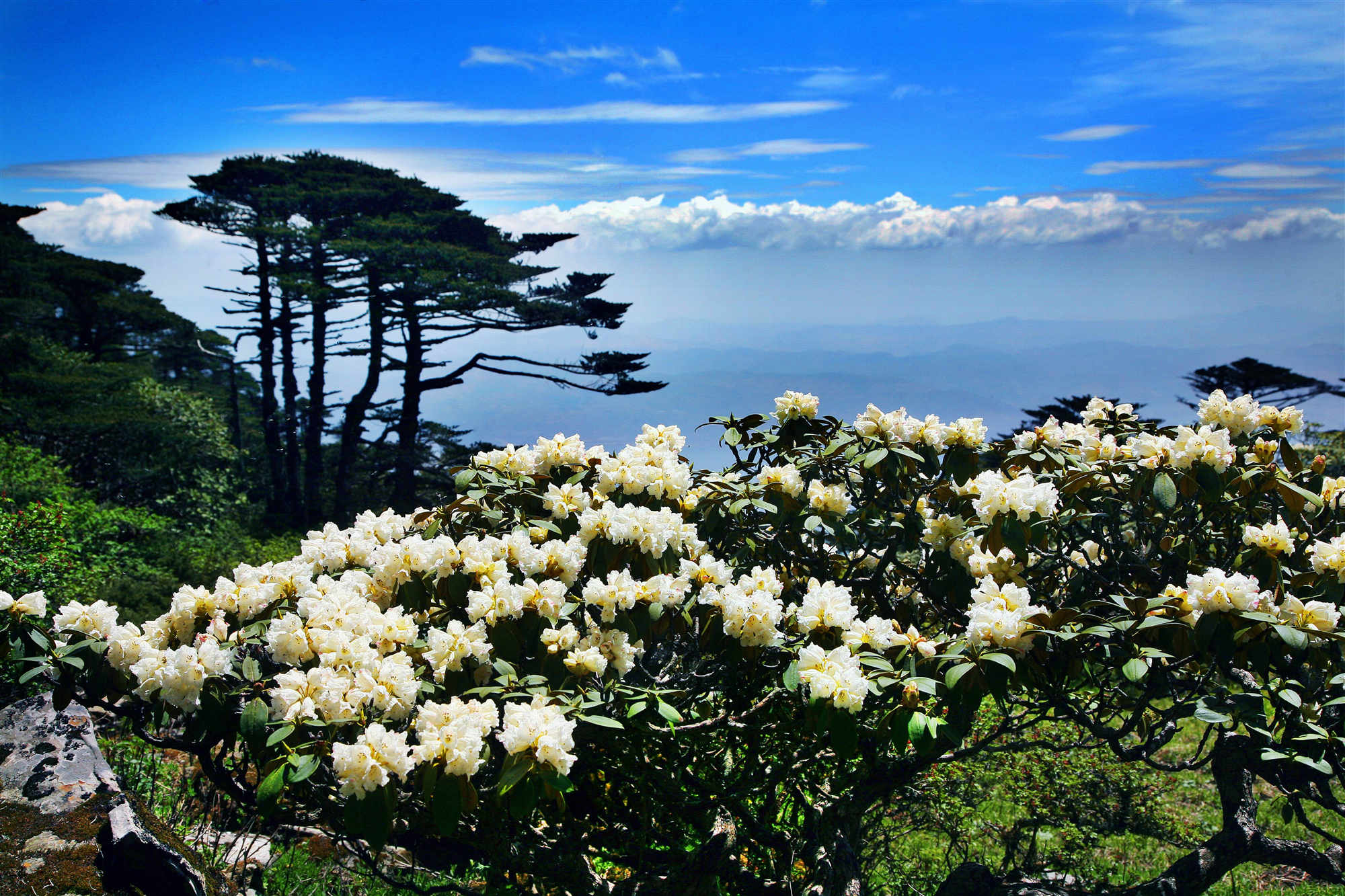 Mount Cangshan_.jpg