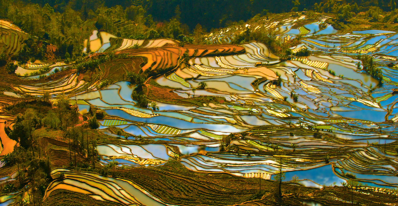 Yuanyang Terrace.jpg