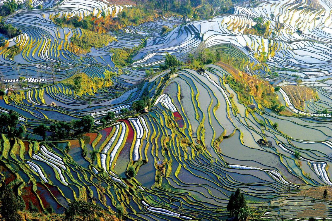 Yuanyang Terrace.jpg