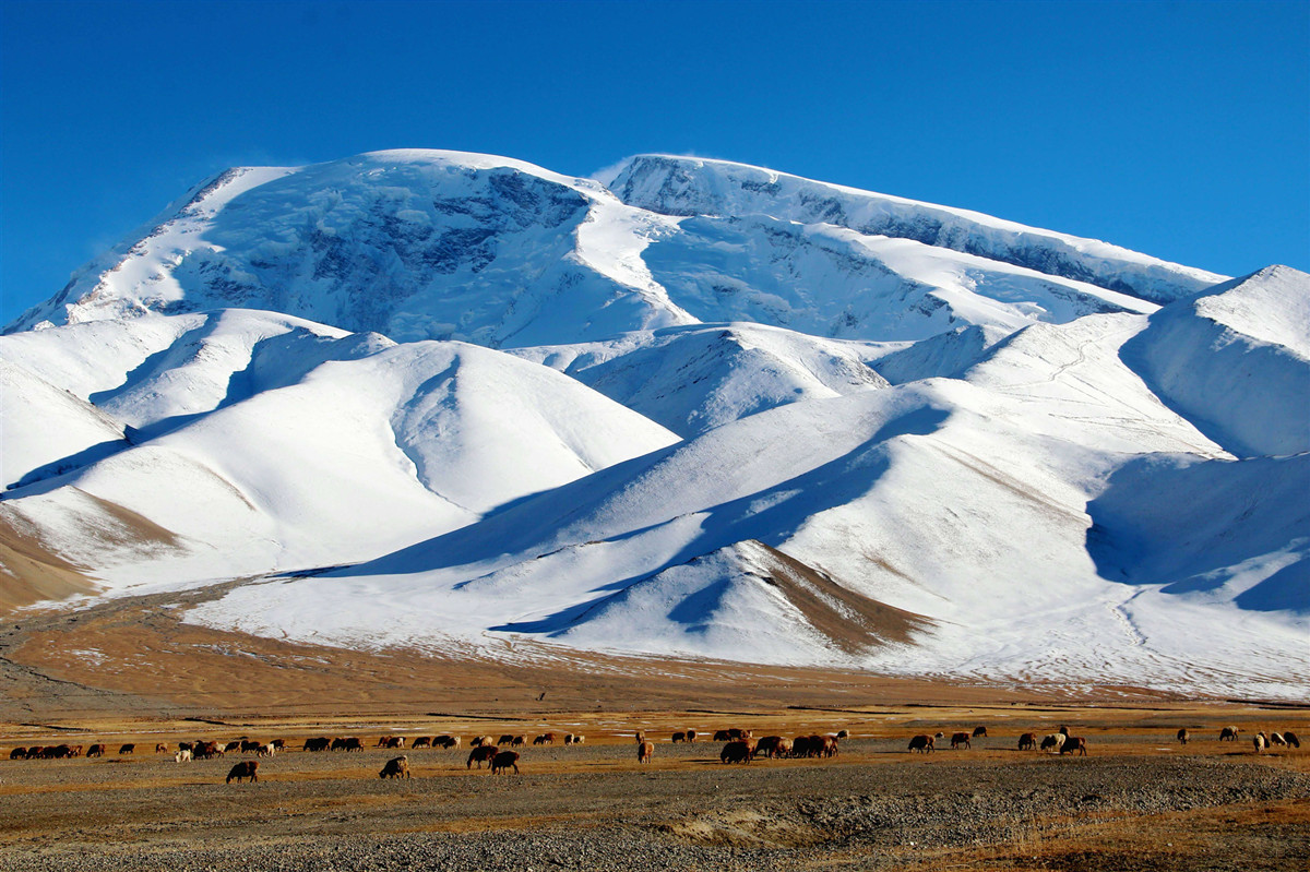 PAMIR (1).jpg