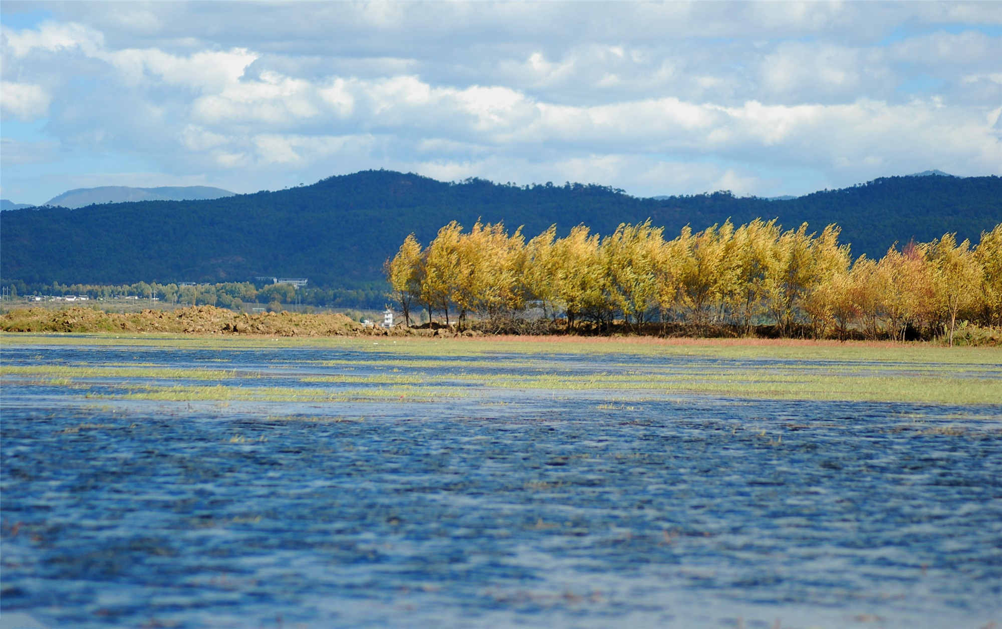 Lashi Lake_.jpg