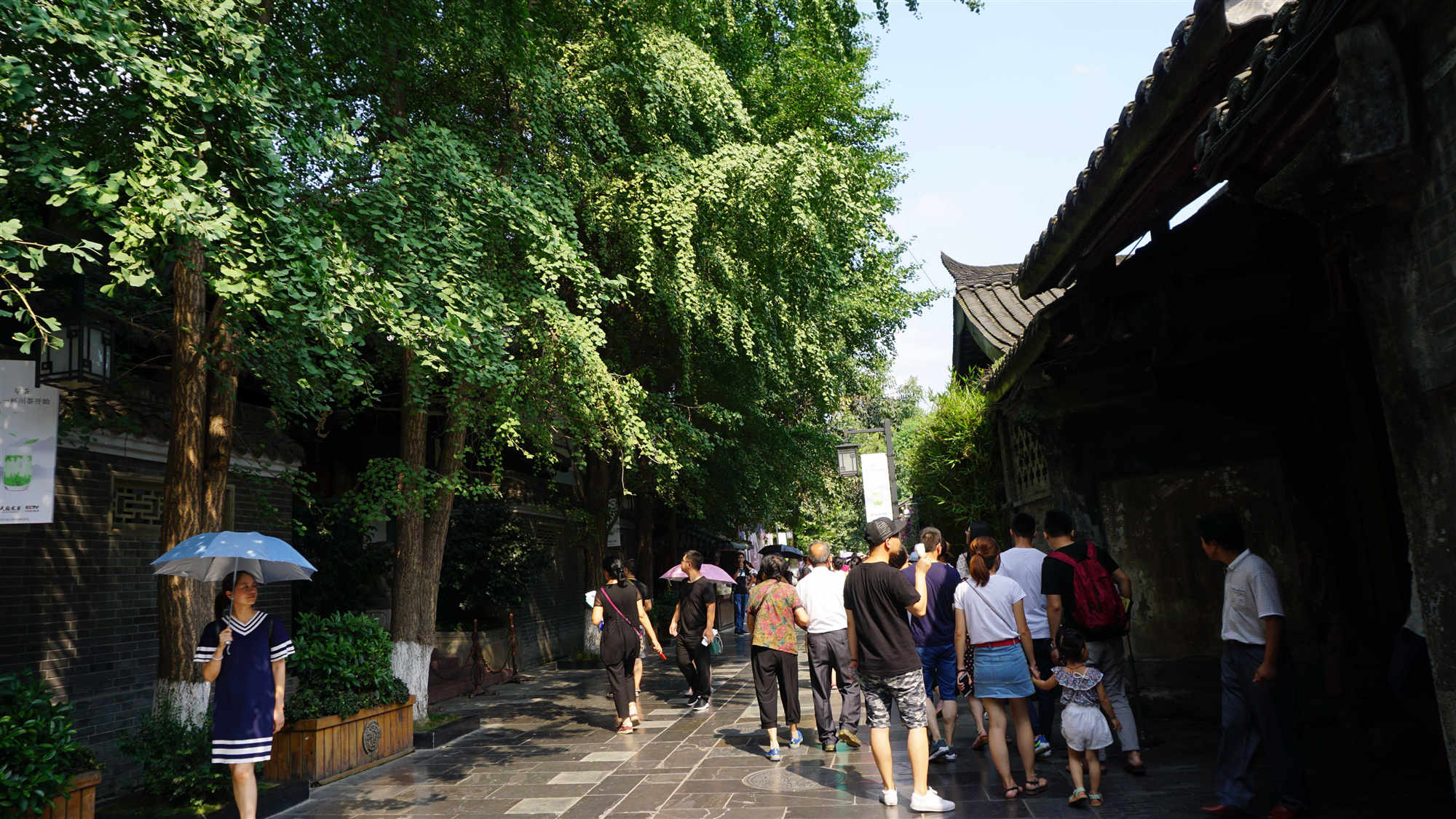 Wide&Narrow Alley-Jing Alley.jpg