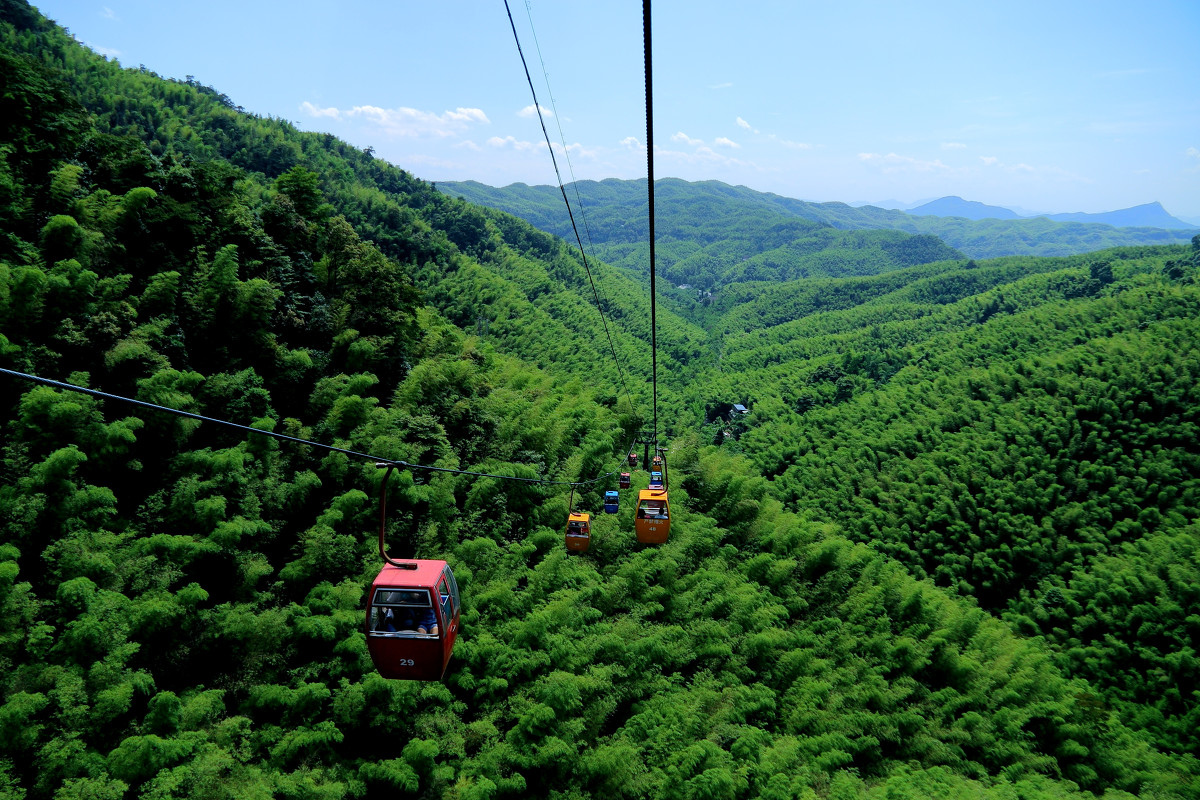 Shunan Bamboo Sea 3.jpg