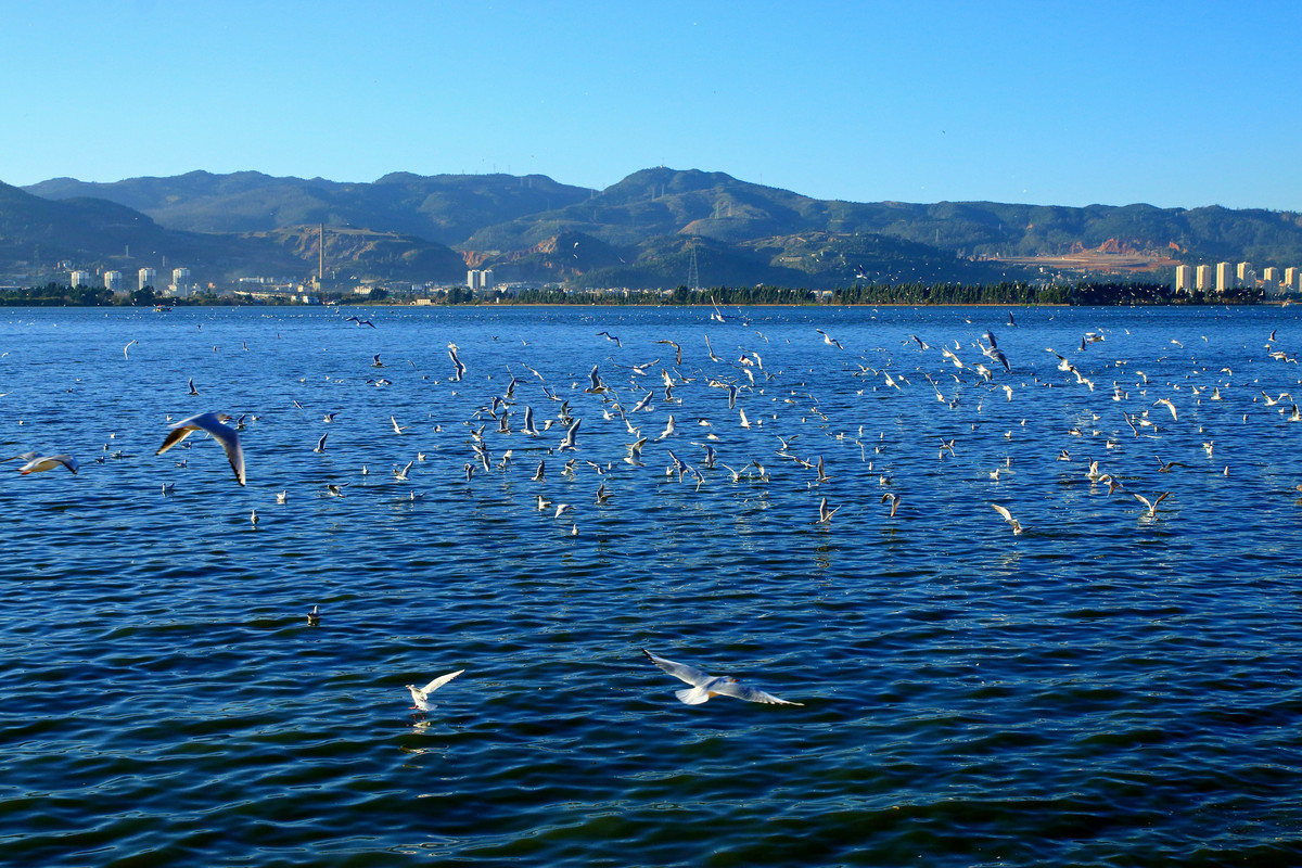 Dianchi Lake2.jpg