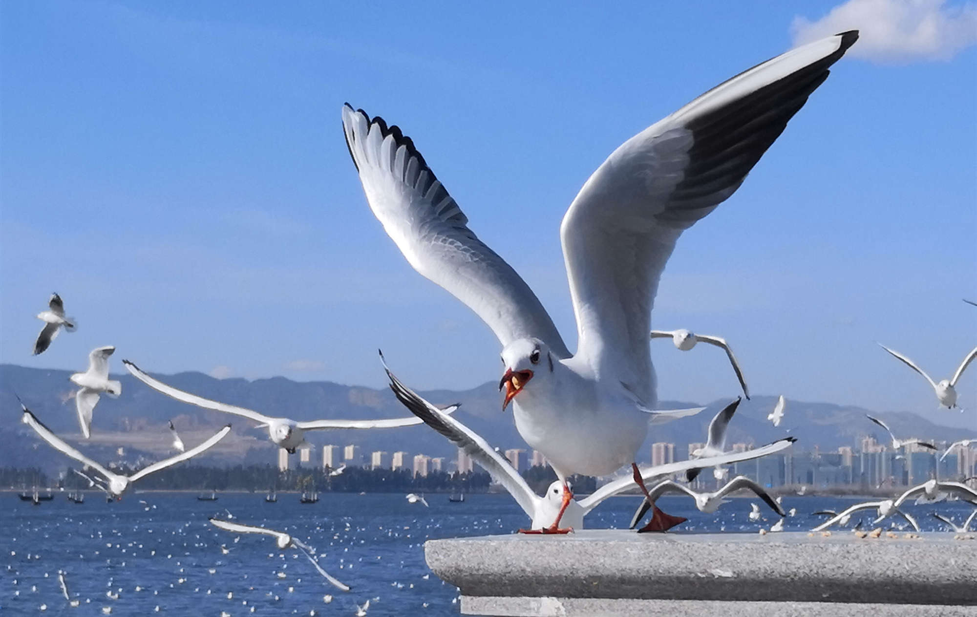 Dianchi Lake 3.jpg