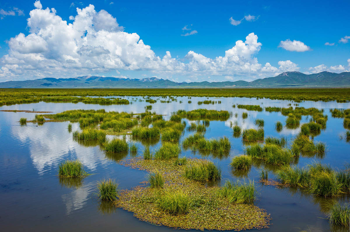 Flower lake 1.jpg