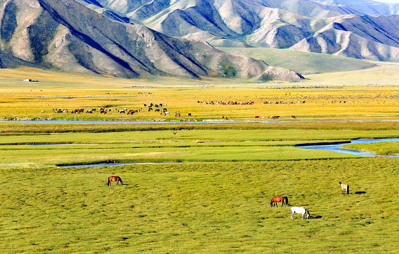Bayanbulak Grassland1.jpg