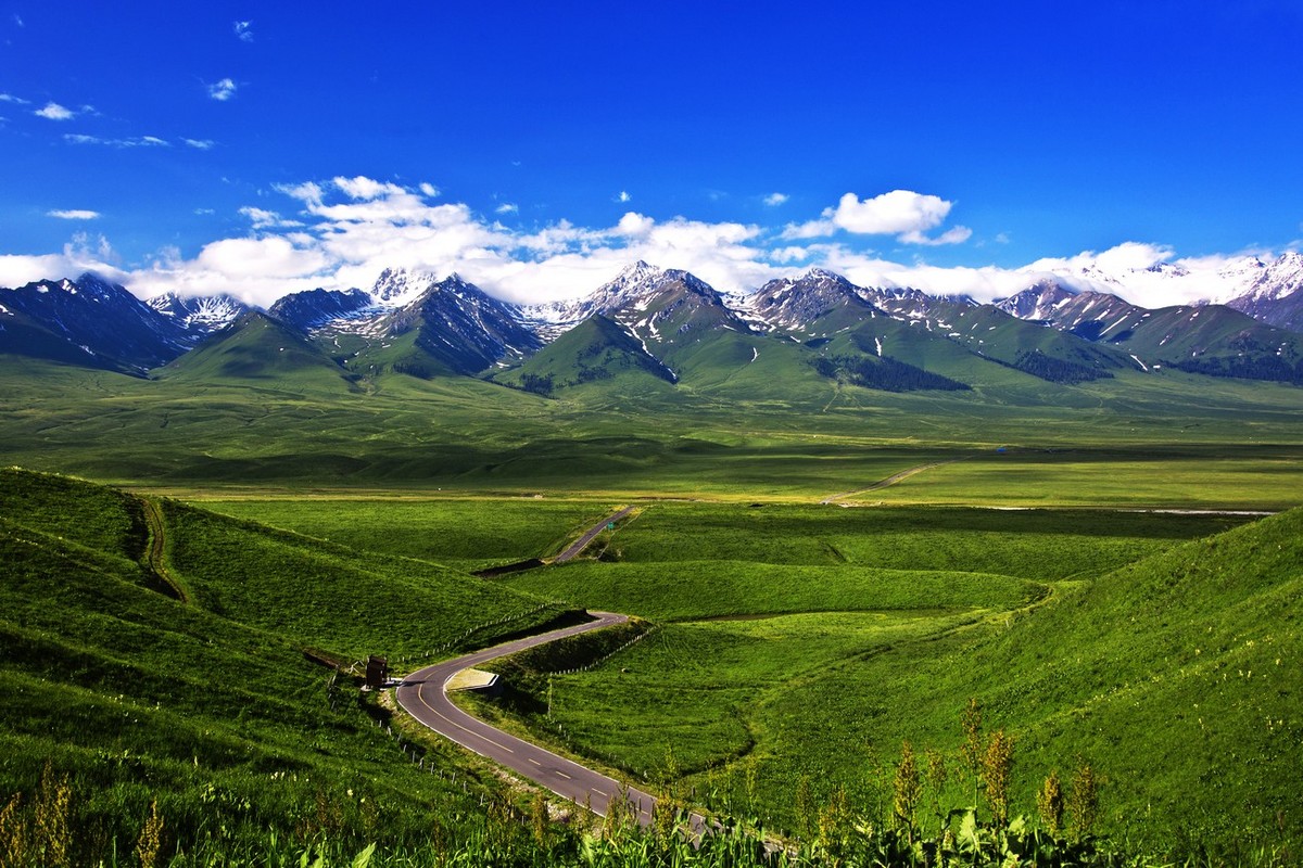 Nalati Air Grassland.jpg