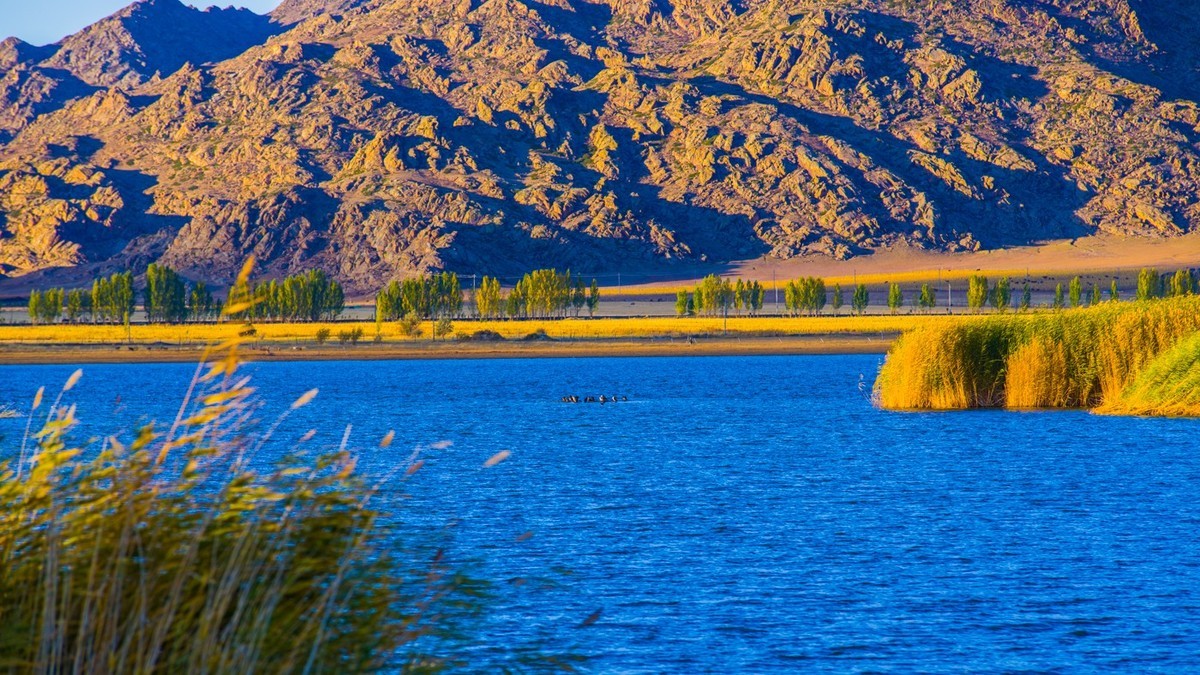 Cocoa Sullivan Lake.jpg