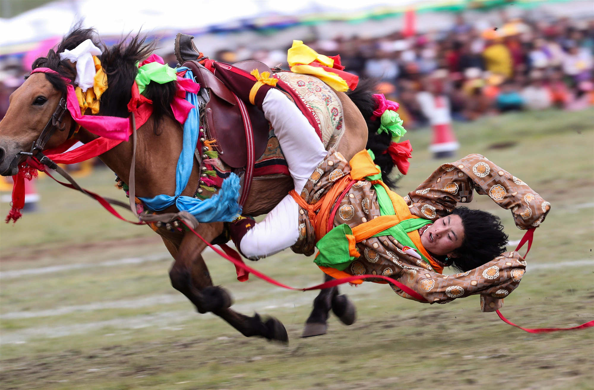 litang horse racing.jpg