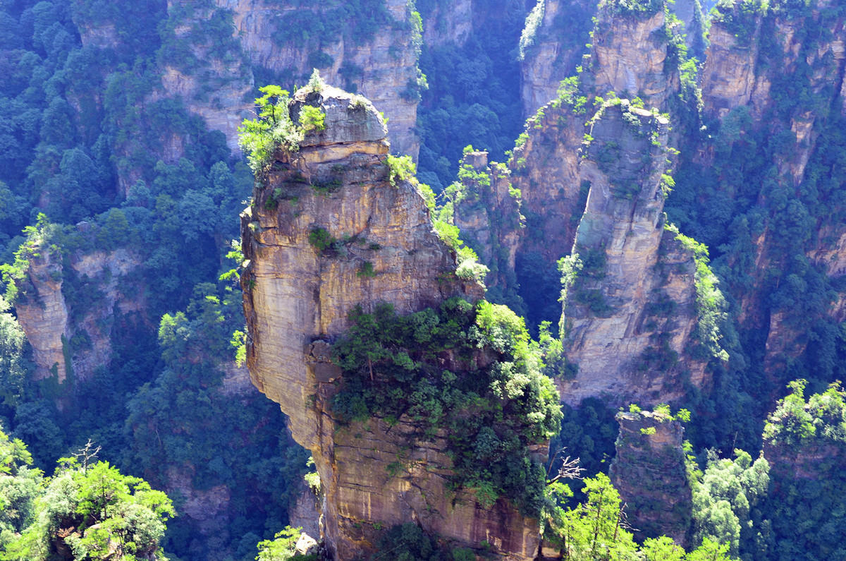 Explore the land of 'Avatar' — Zhangjiajie National Forest Park