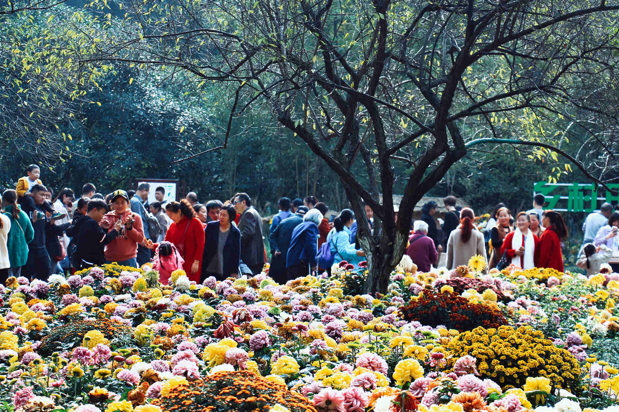 Chengdu Renmin Park.jpg