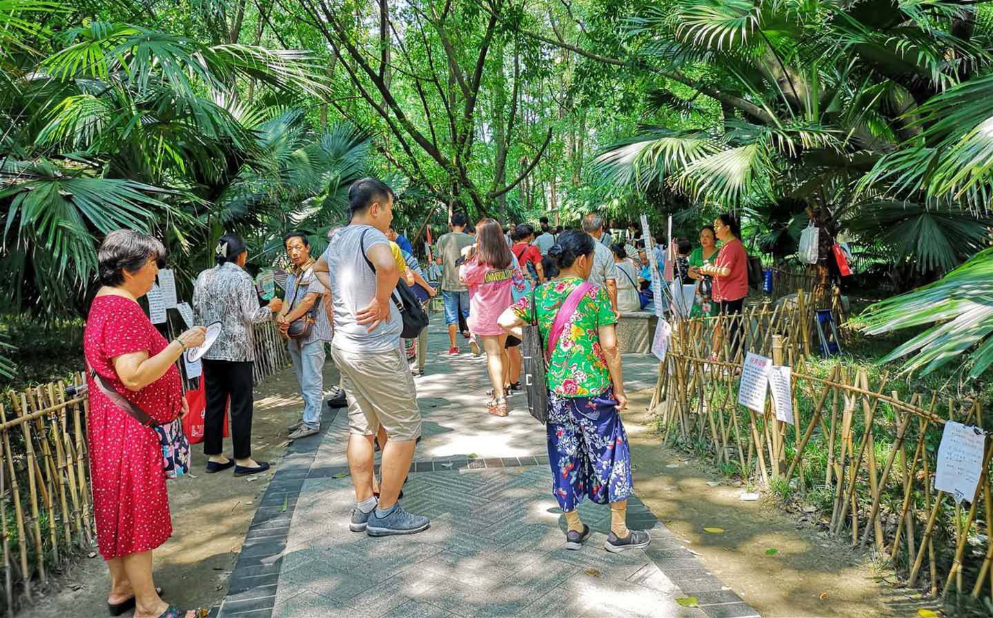 Chengdu Renmin Park 2.jpg