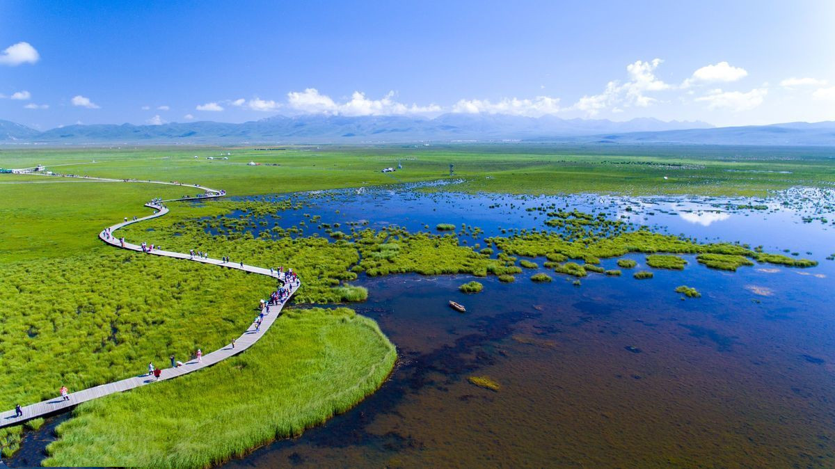 Flower Lake 3.jpg