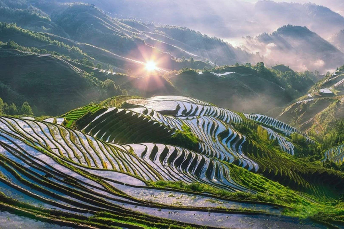 Guangxi Longji Rice Terrace