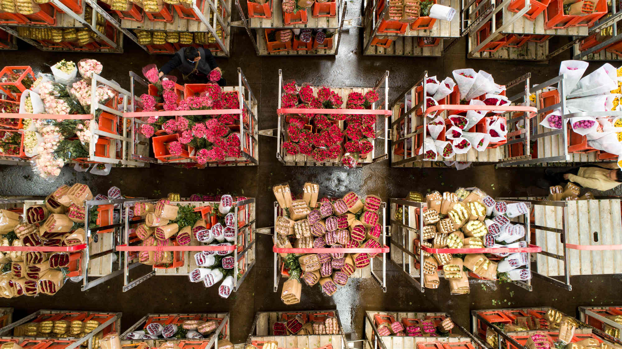 Dounan Flower Market 2.jpg