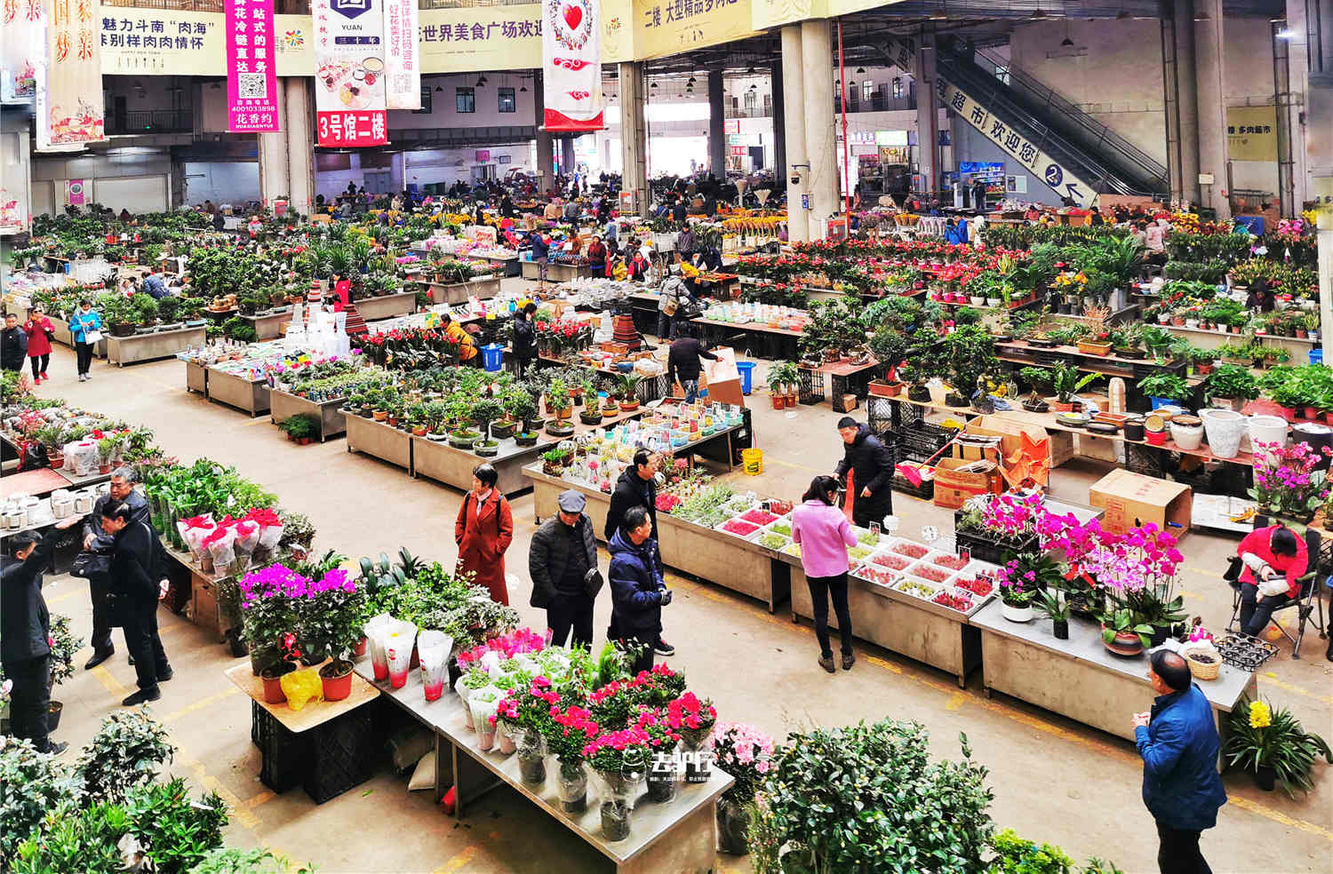 Dounan Flower Market 1.jpg
