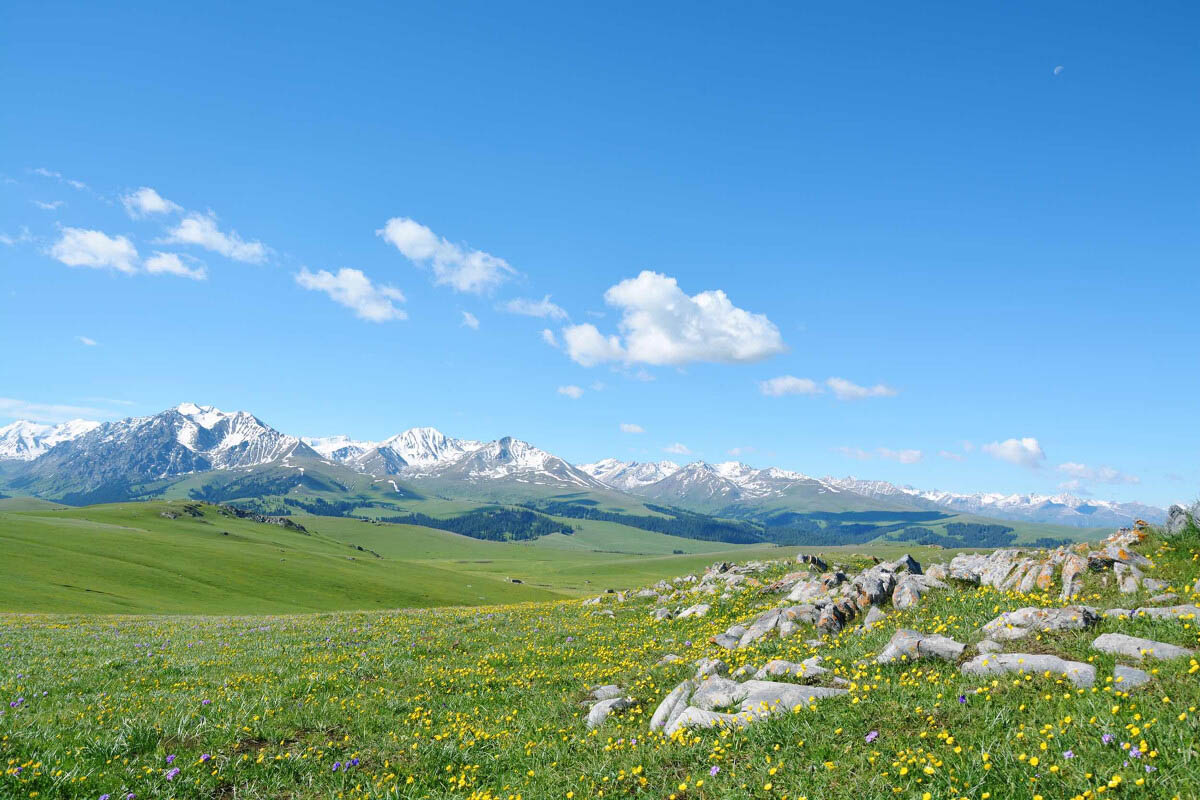Kalajun Grassland.jpg