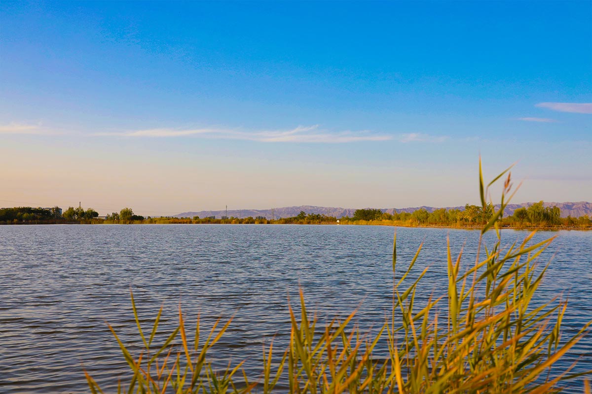 Zhangye Wetland Park2.jpg