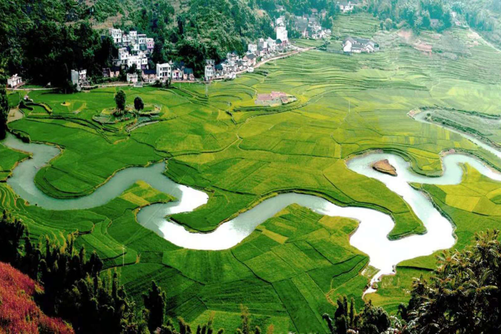 Bama Longevity River.jpg