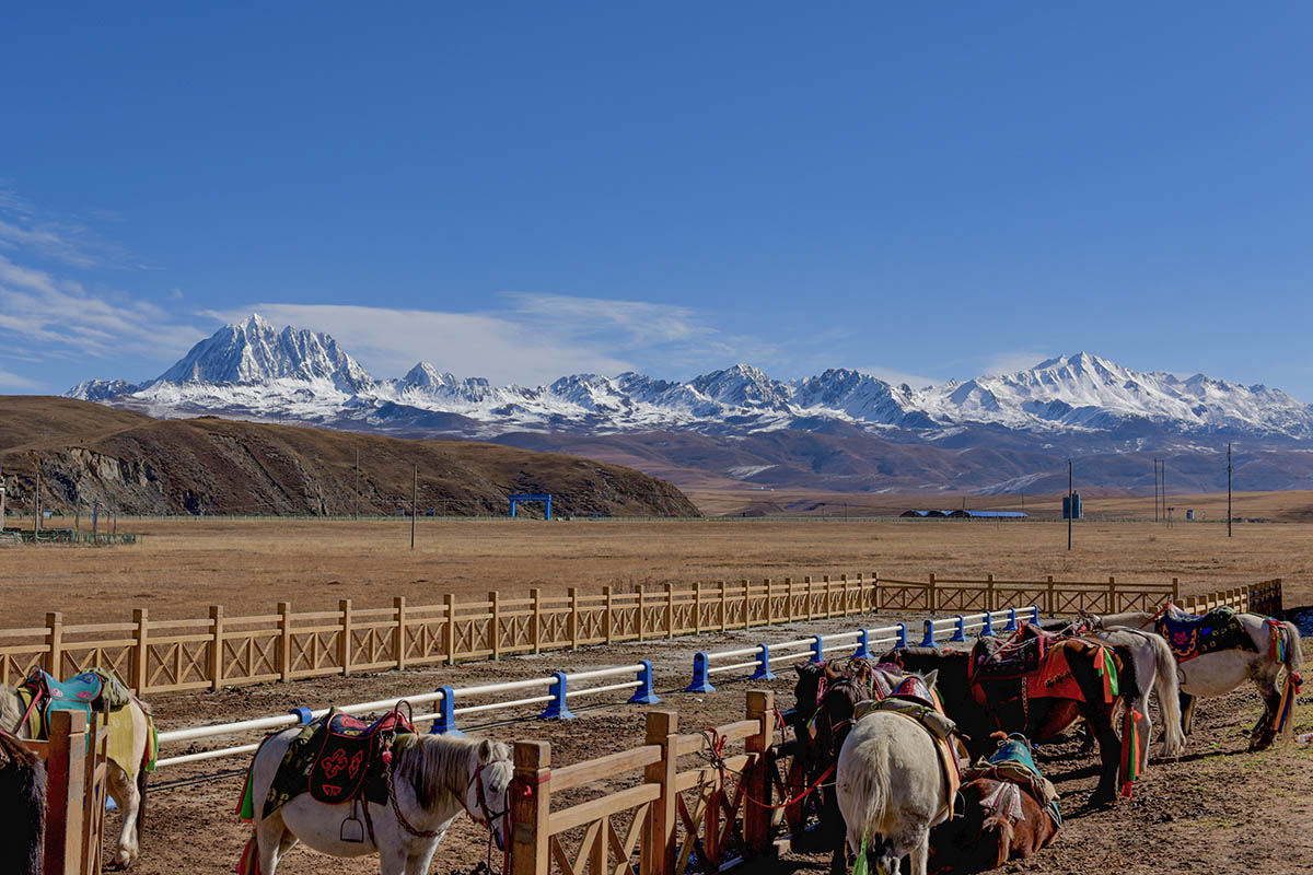 Tagong Pasture.jpg