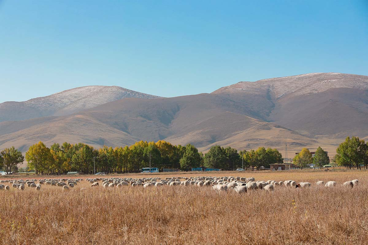 A brief introduction of Hainan Tibetan Autonoumous Prefecture