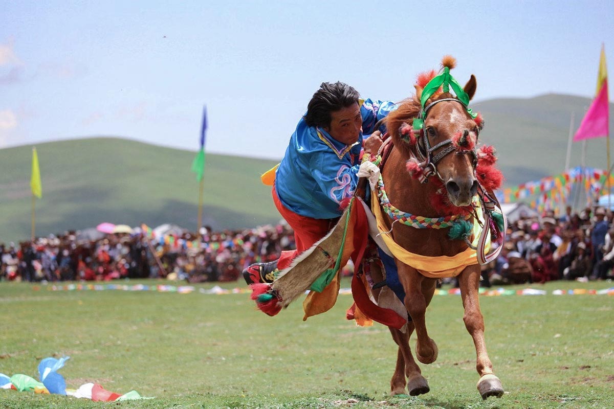 YUSHU.jpg