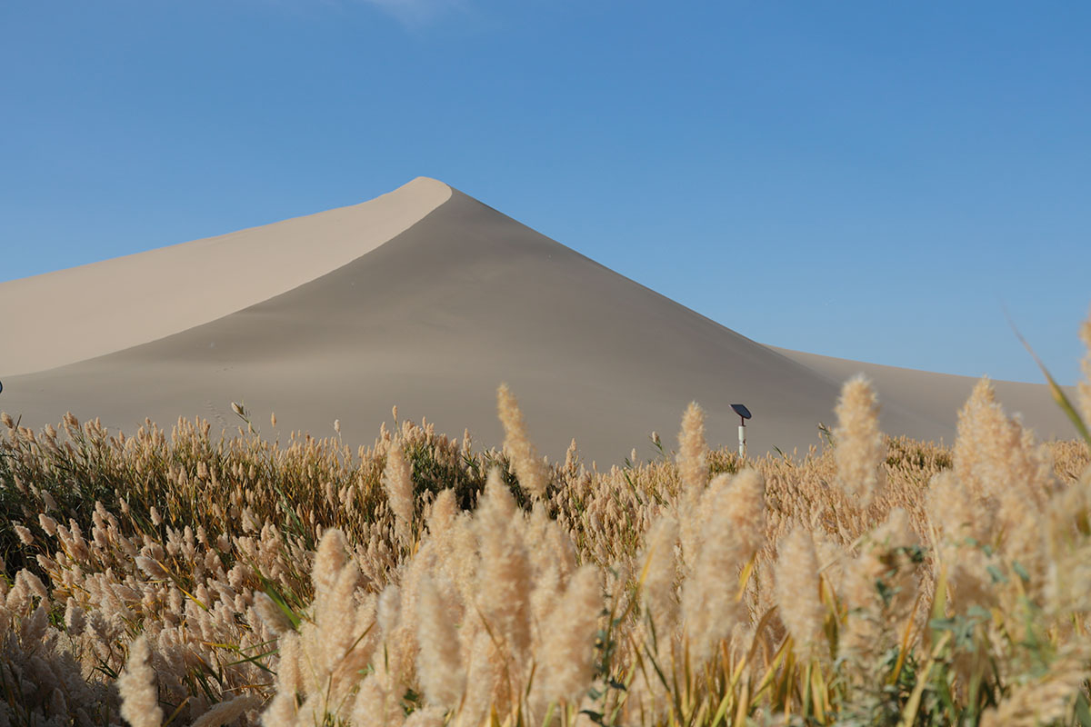Dunhuang: A city on the old silk road