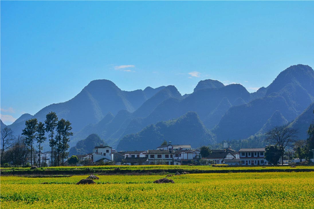 QIANXINAN.jpg