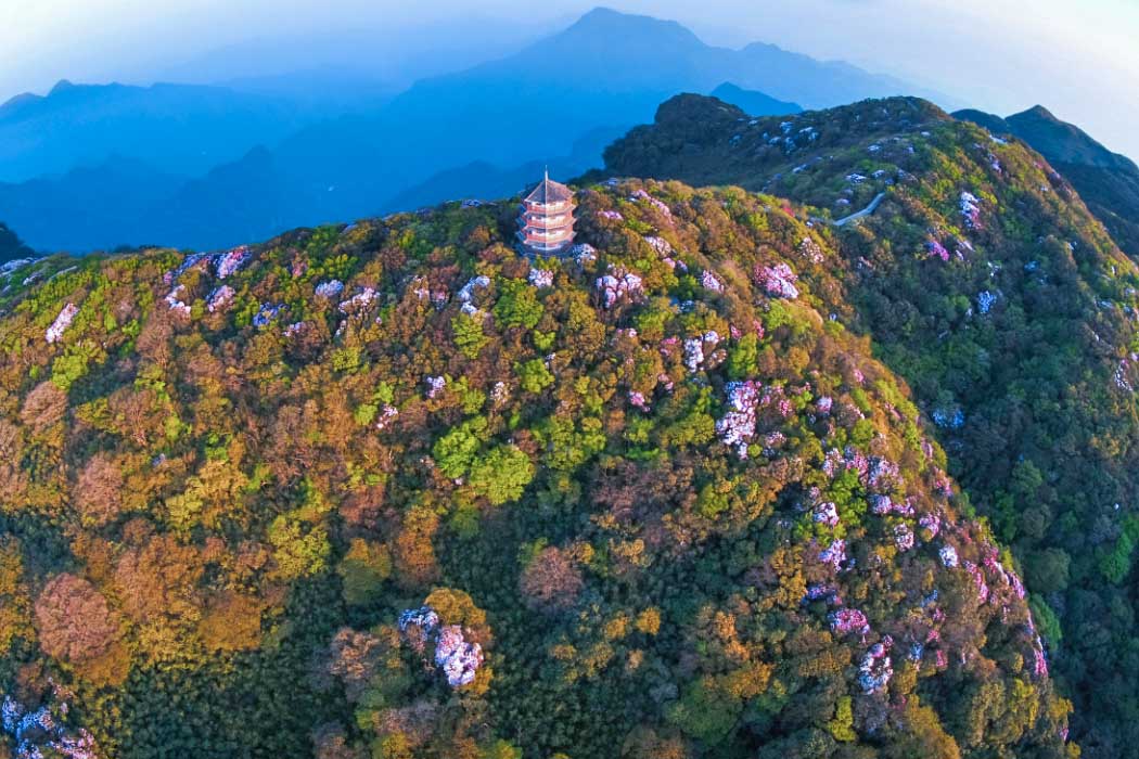 Jinfo Mountain.jpg