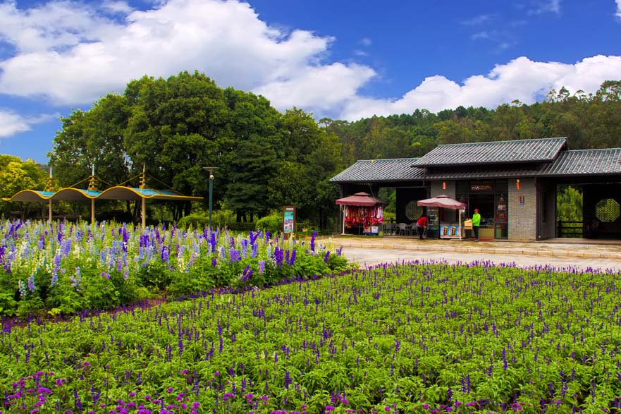 botanic garden.jpg