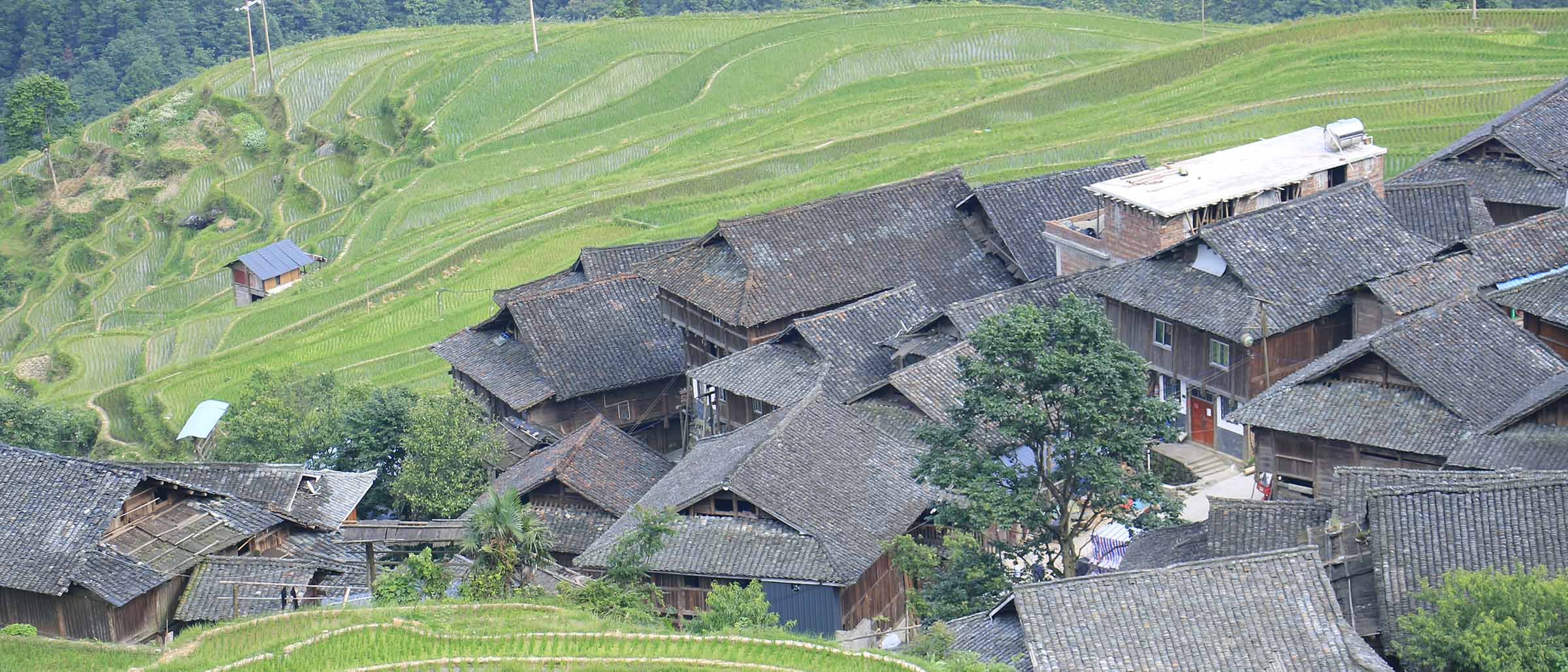 Guizhou.jpg