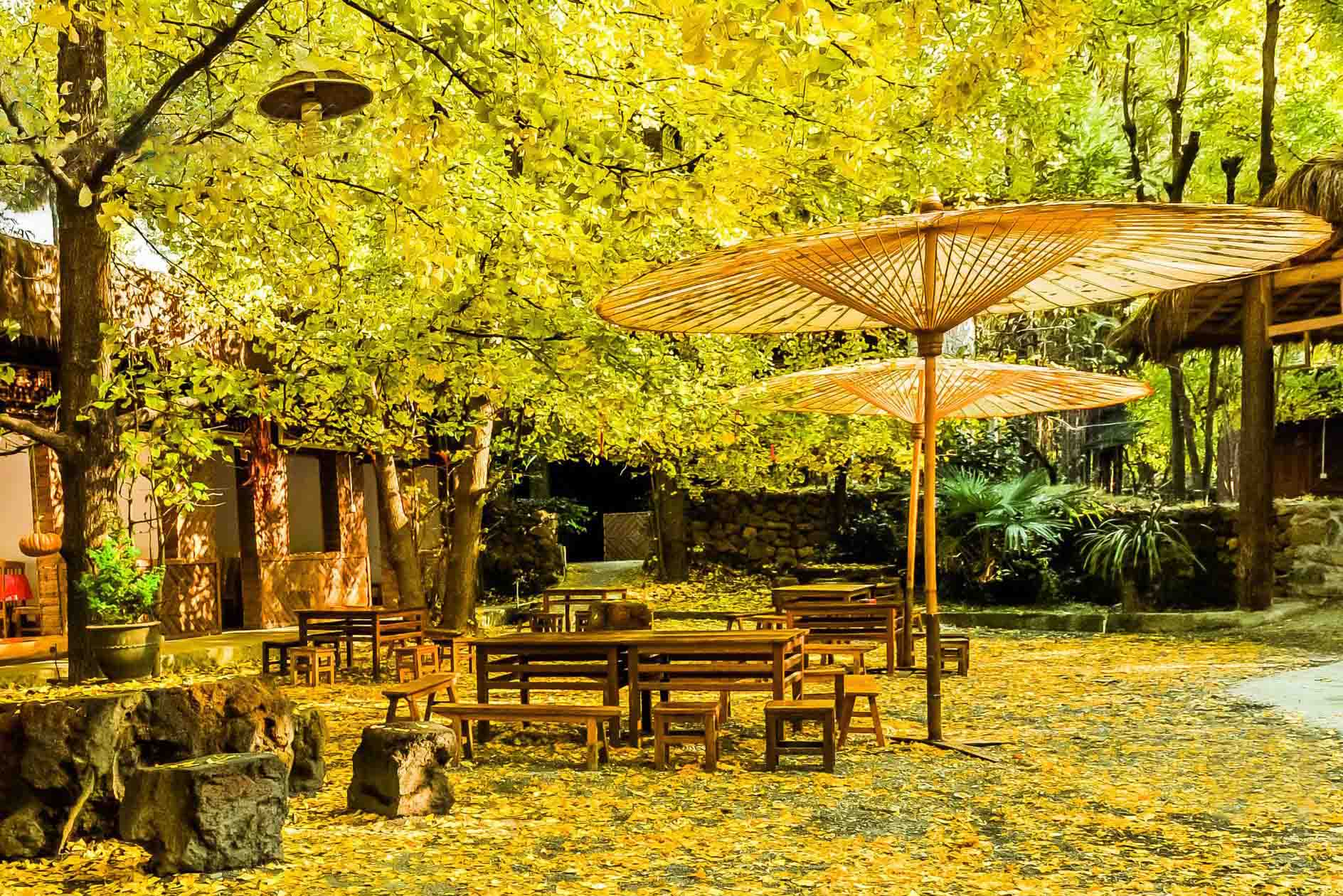 Gingko Village.jpg
