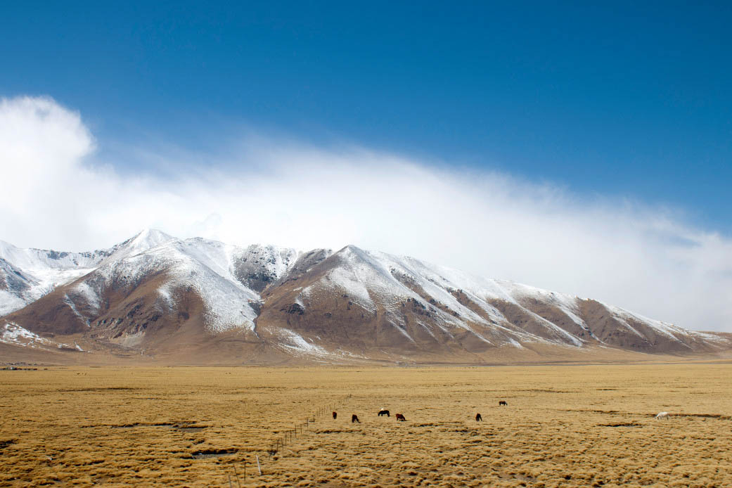 High altitude sickness and how to prevent it