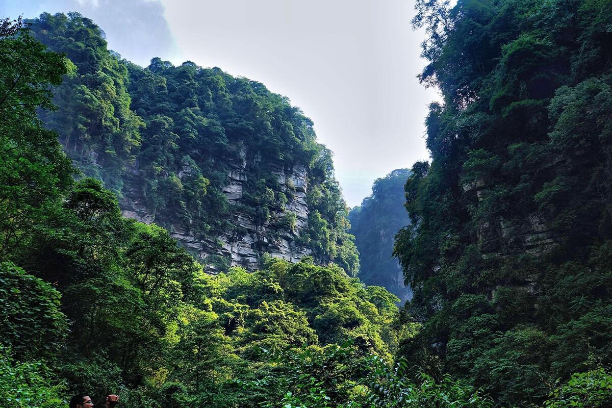 Bifengxia.jpg