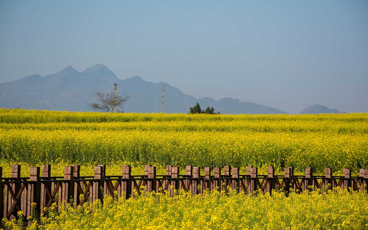 Yunnan Qujing Travel Guide