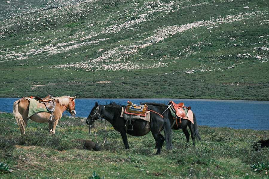 Mysterious Tibetan Area in West Sichuan:Gani Tibetan autonomous prefecture