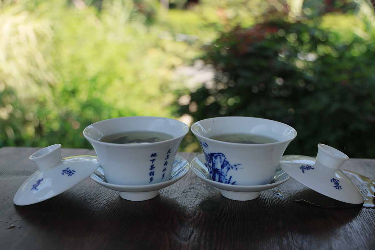 Most recommended teahouses to experience real sichuan life