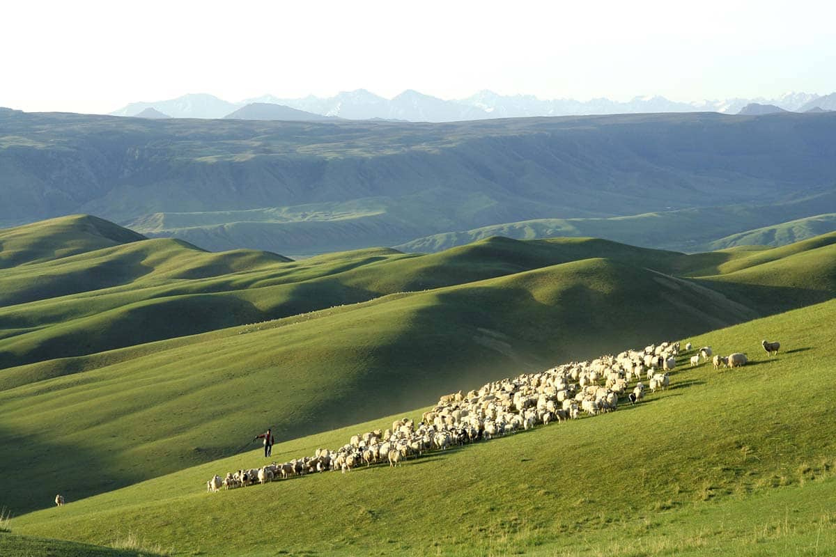 Sangke grassland.jpg