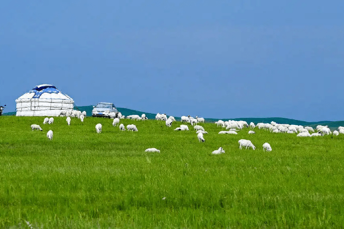 Inner Mongolia Travel Guide