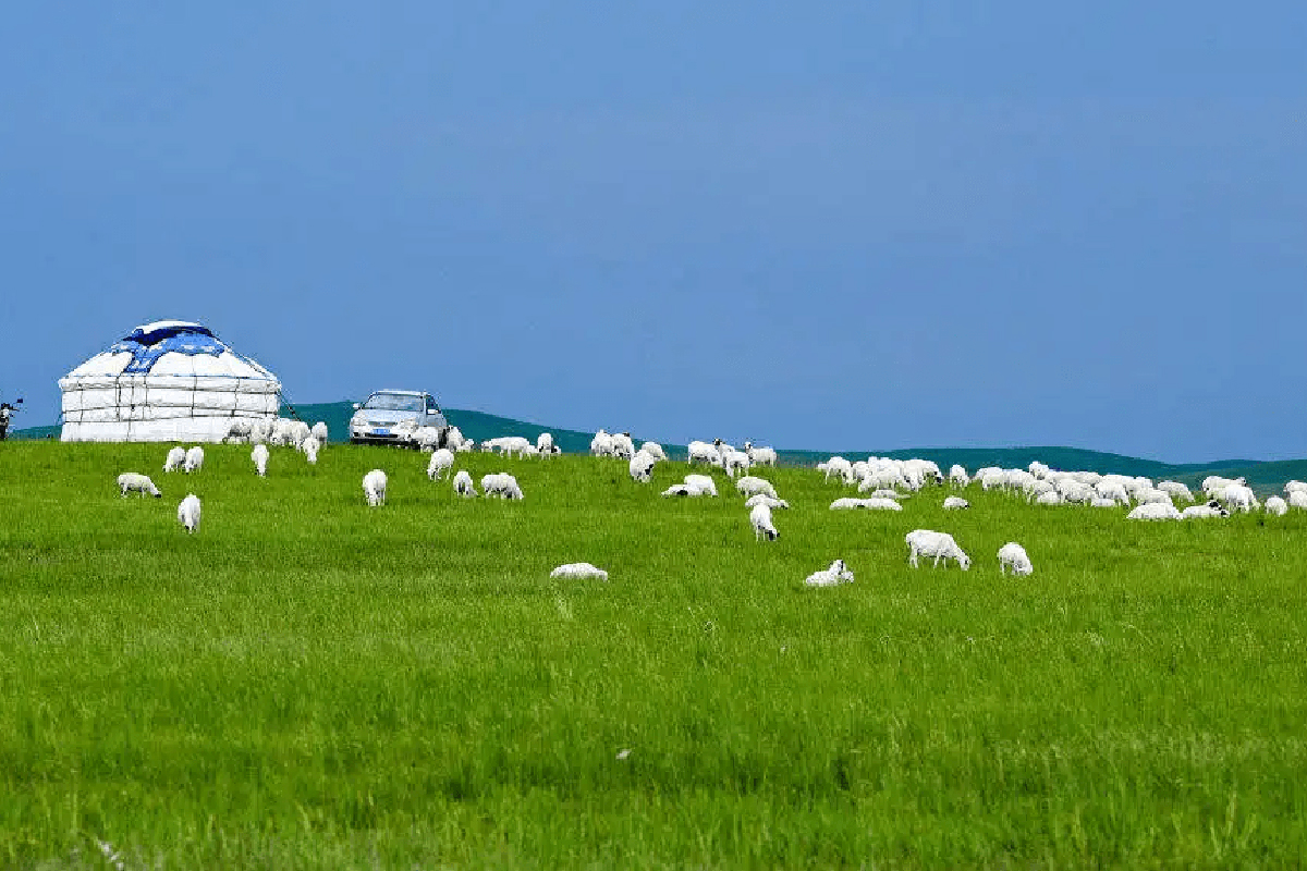 inner mongolia-min.jpg